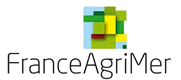 logo-agrimer